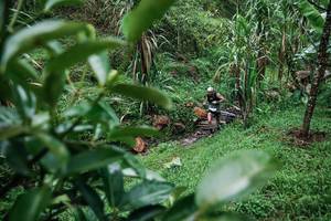 BIB: 
                            <button type="button" onclick="openModal(26200107)" class="btn btn-primary btn-sm float-right btn-popup" data-toggle="modal" data-target=".modal-high-quality">
                        <i class="fas fa-shopping-cart"></i> Add to Cart
                    </button>
                                            <button type="button" onclick="isThisMe(26200107, true)" class="btn btn-success btn-sm float-right btn-popup btn-isme hidden" data-toggle="tooltip" data-placement="bottom" title="นี่คือรูปของคุณใช่ไหม คลิกที่นี่เพื่อเอาเข้าอัลบั้ม">
                        <i class="fas fa-plus"></i> Add to album
                    </button>
                    <button type="button" onclick="isThisMe(26200107, false)" class="btn btn-warning btn-sm float-right btn-popup btn-isnotme hidden">
                        <i class="fas fa-ban"></i> Remove from album
                    </button>